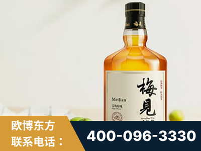 郑州-梅见青梅酒